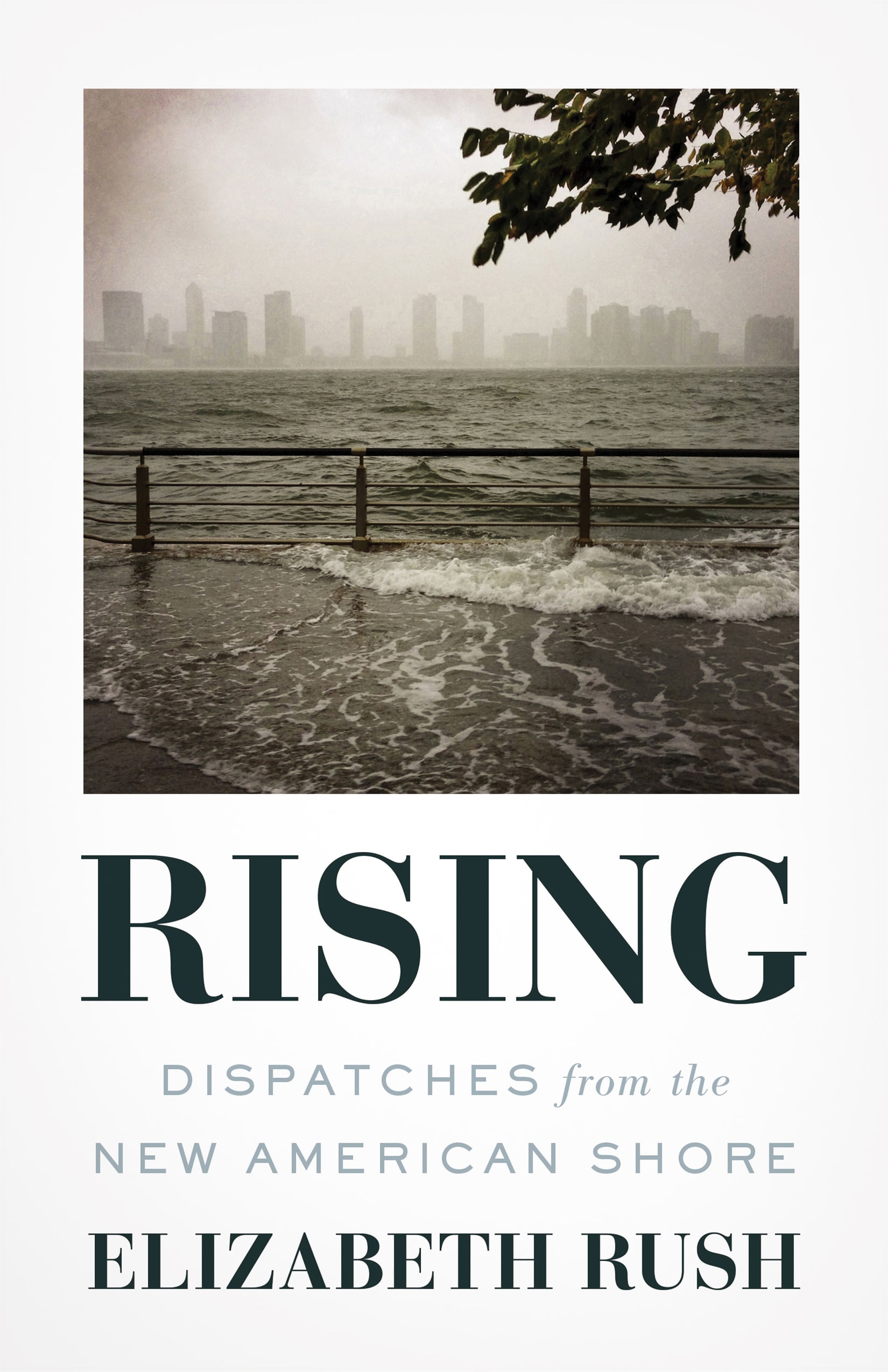 Rising: Dispatches from the New American Shore Book cover